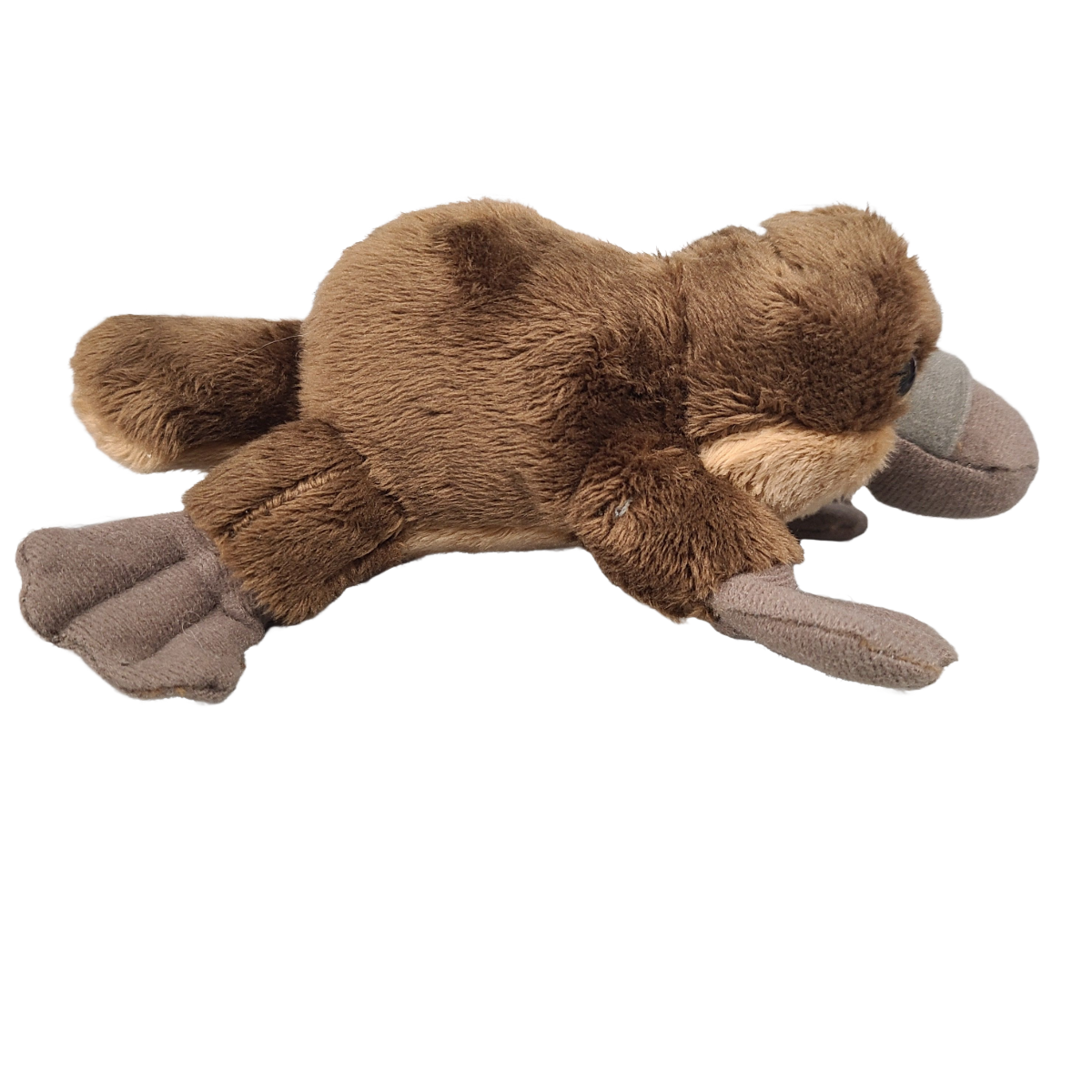 Hazel the Canned Platypus Stuffed Animal Plush w/Funny Jokes