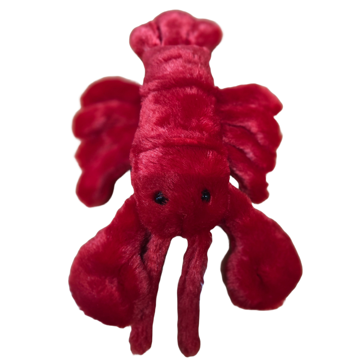 Sheldon the Canned Lobster - Eco-Friendly Plush w/Jokes