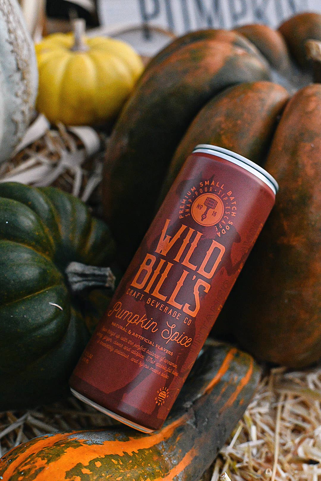 Pumpkin Spice - Premium Cane Sugar Soda, Cans
