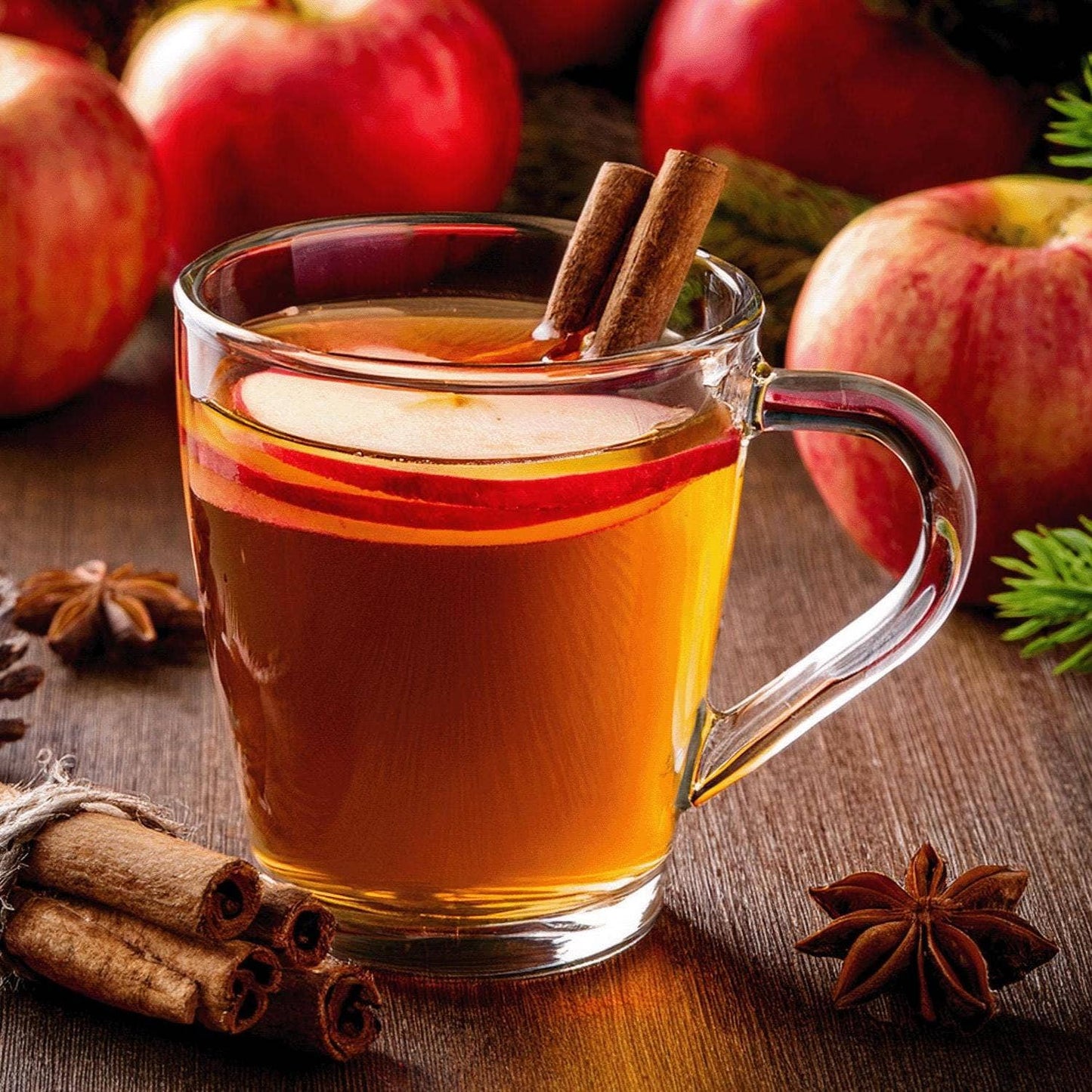 Spiced Apple Cider, Hot Beverage Drink Mix