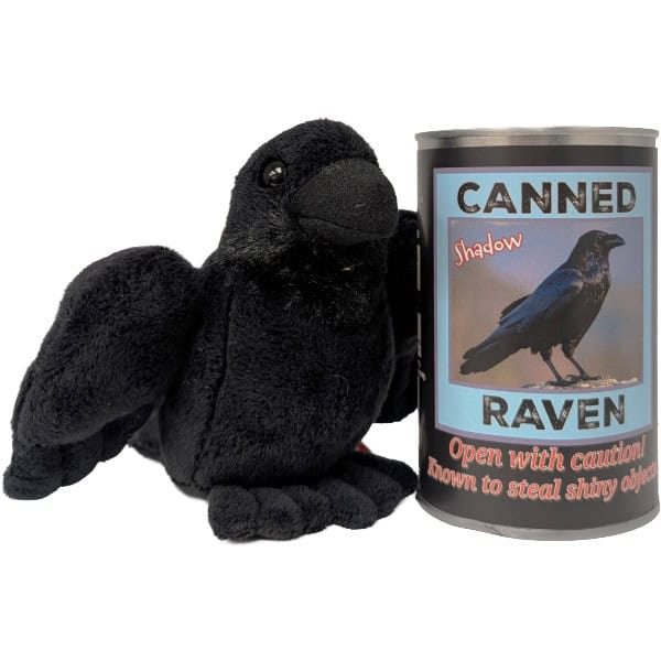 A black plush raven toy sitting next to a metal tin labeled 'CANNED RAVEN' with a photo of a raven on the front, on a plain white background.