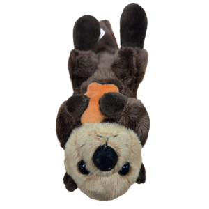 Dave the Canned Sea Otter | Stuffed Animal Plush w/Jokes