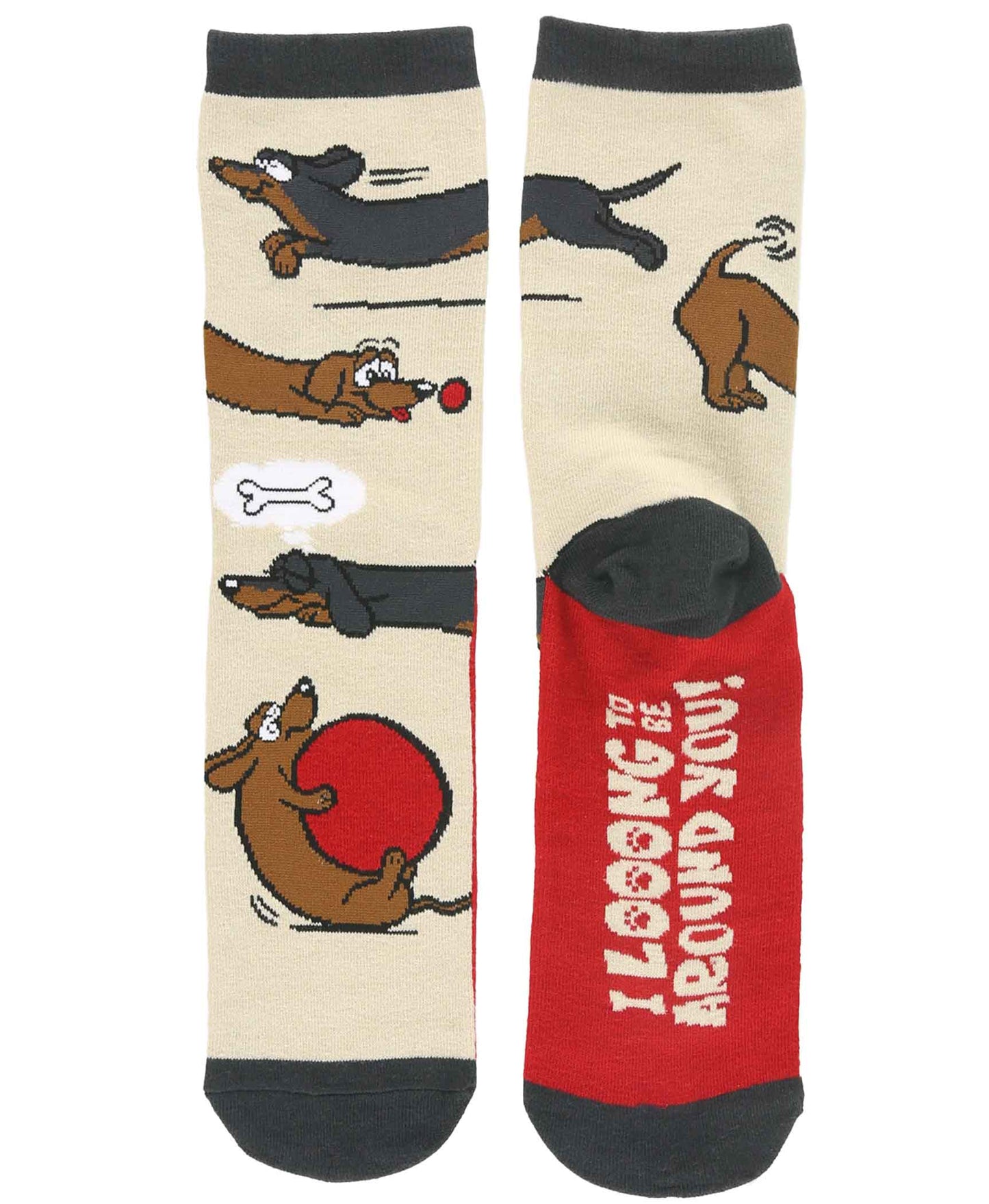 Long to Bed Dachshund Dog Crew Socks