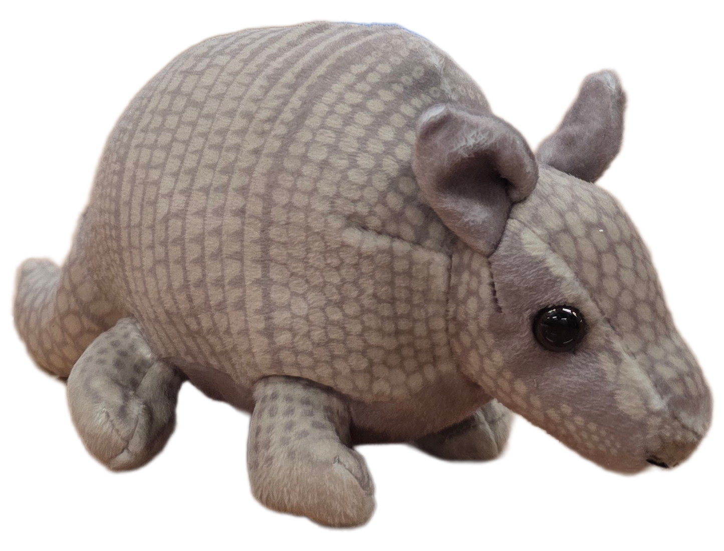 Paul the Canned Armadillo | Stuffed Animal Plush w/Jokes