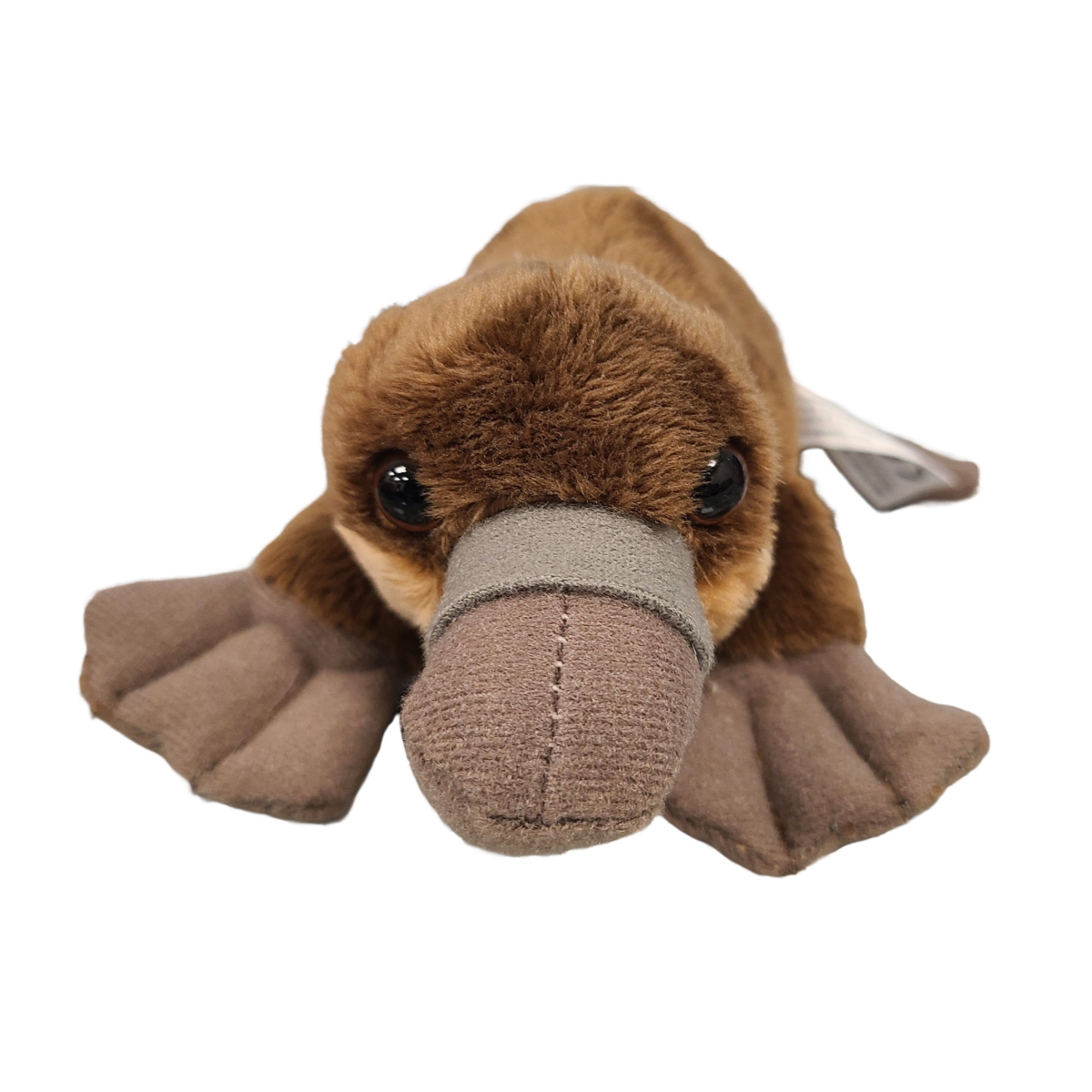 Hazel the Canned Platypus Stuffed Animal Plush w/Funny Jokes