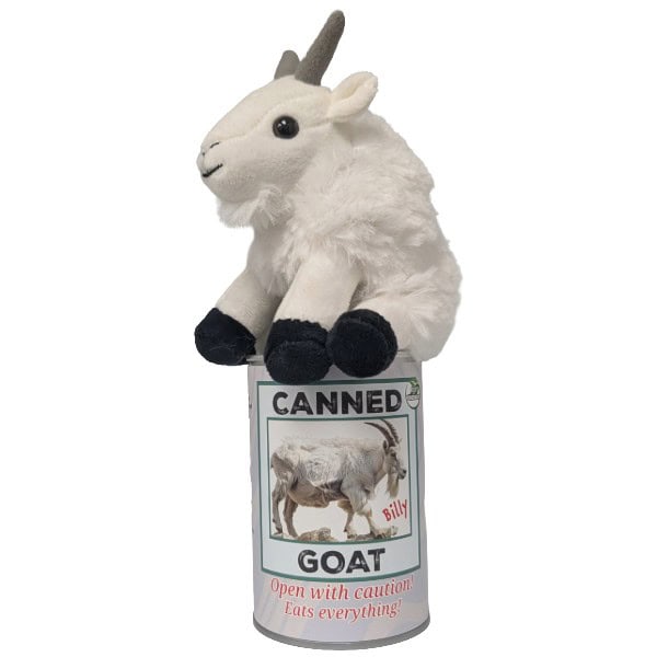 A plush white goat toy with gray horns and black hooves sits on top of a novelty can labeled 'CANNED GOAT' with the text 'Open with caution! Eats everything!' on a plain white background.