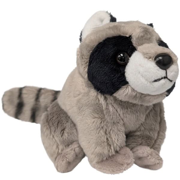 plush Grey, Black and white short spine raccoon on a white bakground