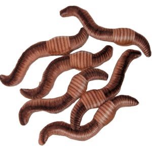 Six brown plush worm toys arranged on a plain white background.